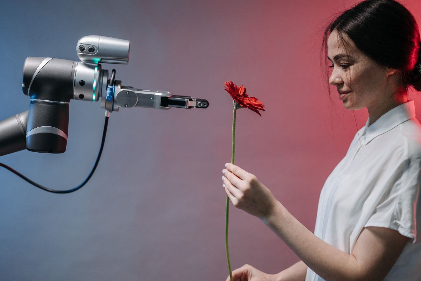 The Human Touch: Google's Latest on AI Content & Your SEO
