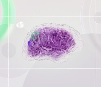 Structured Data's New Role: Fueling AI Search for US SMBs